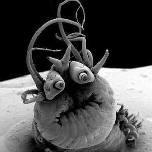 Meet your Posher, Katelyn